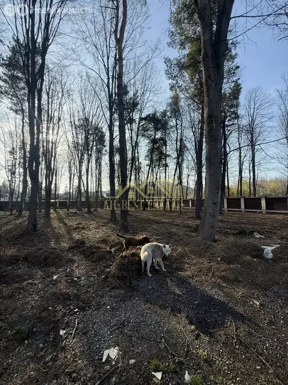 Участок в Республика Северная Осетия — Алания, Владикавказ (36 м) - Фото 2