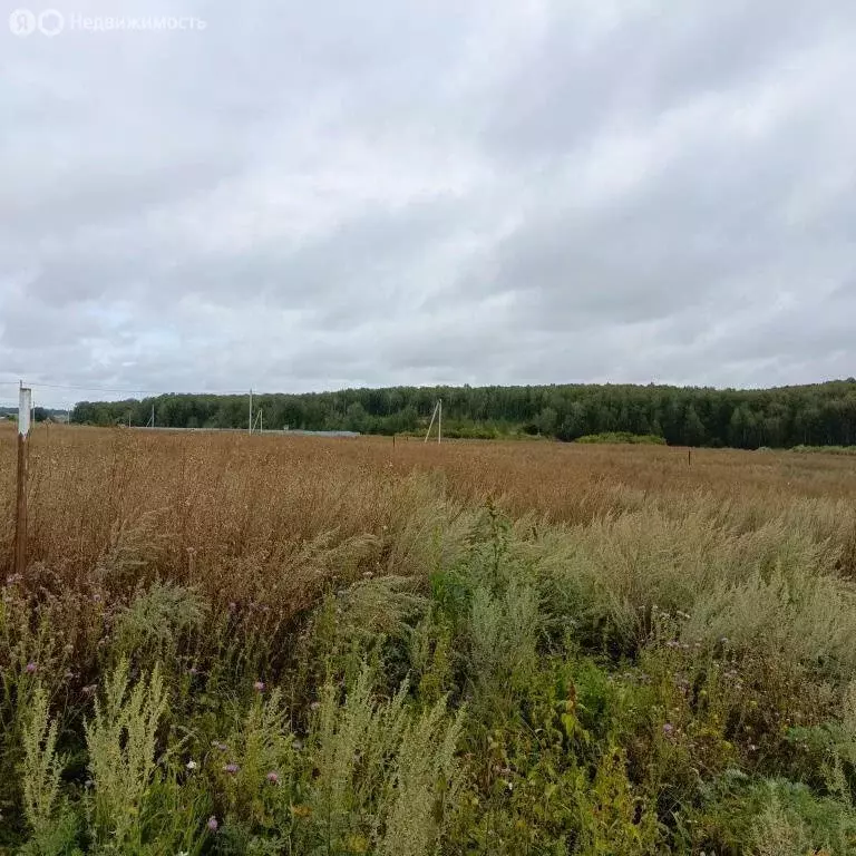 Участок в посёлок Есаульский, Лесная улица (14.53 м) - Фото 2