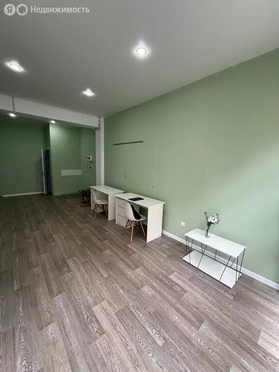 Помещение свободного назначения (29 м) - Фото 1