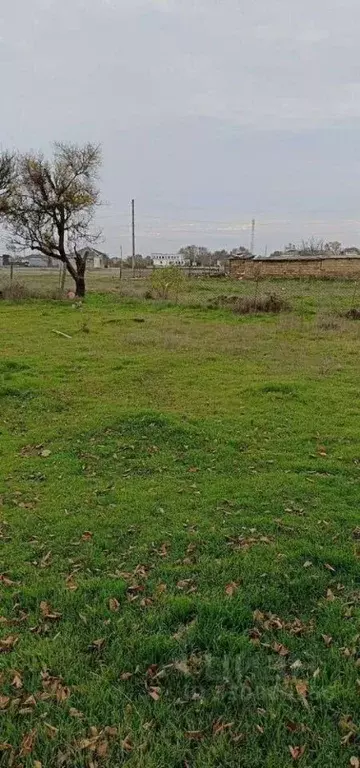 Участок в Крым, Сакский район, с. Воробьево ул. Нижняя (10.0 сот.) - Фото 1