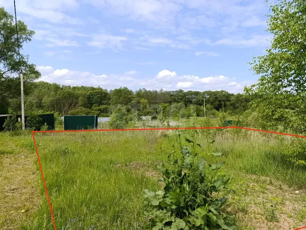 Участок в Смоленская область, Смоленский муниципальный округ, д. ... - Фото 2