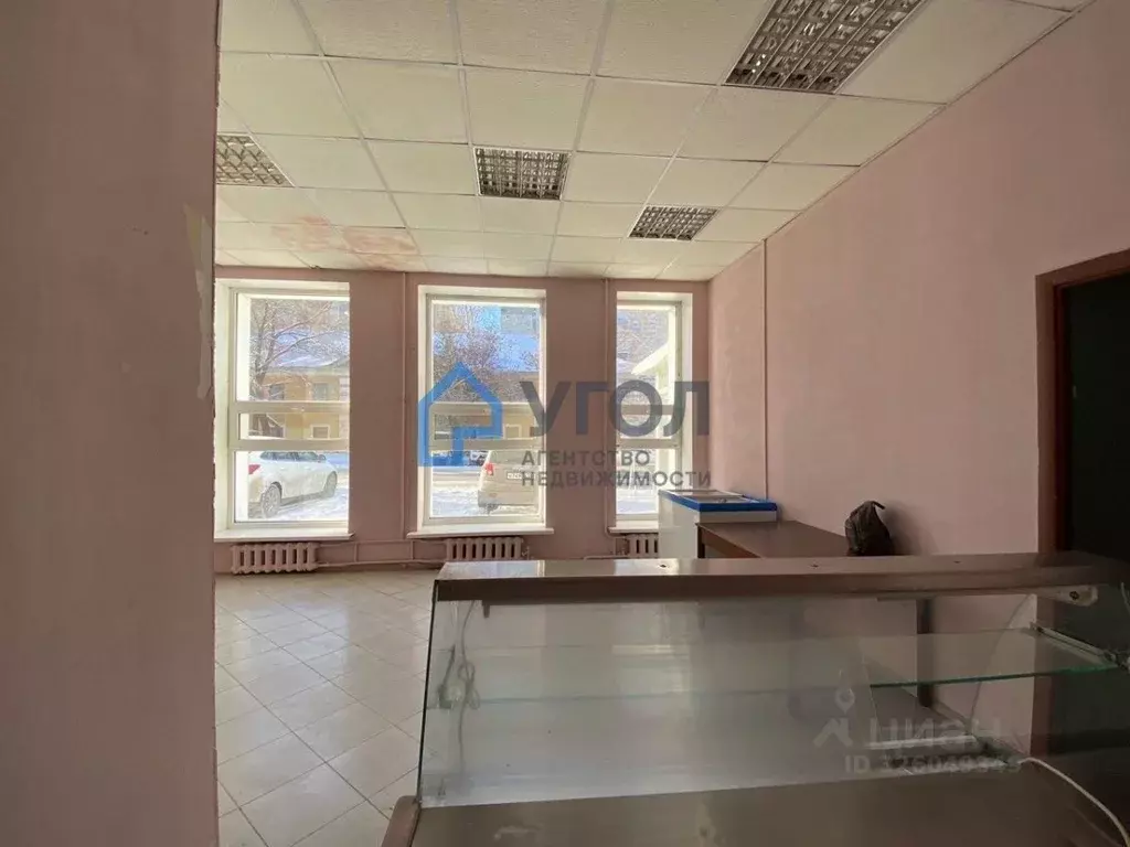 Помещение свободного назначения в Самарская область, Самара ул. ... - Фото 2