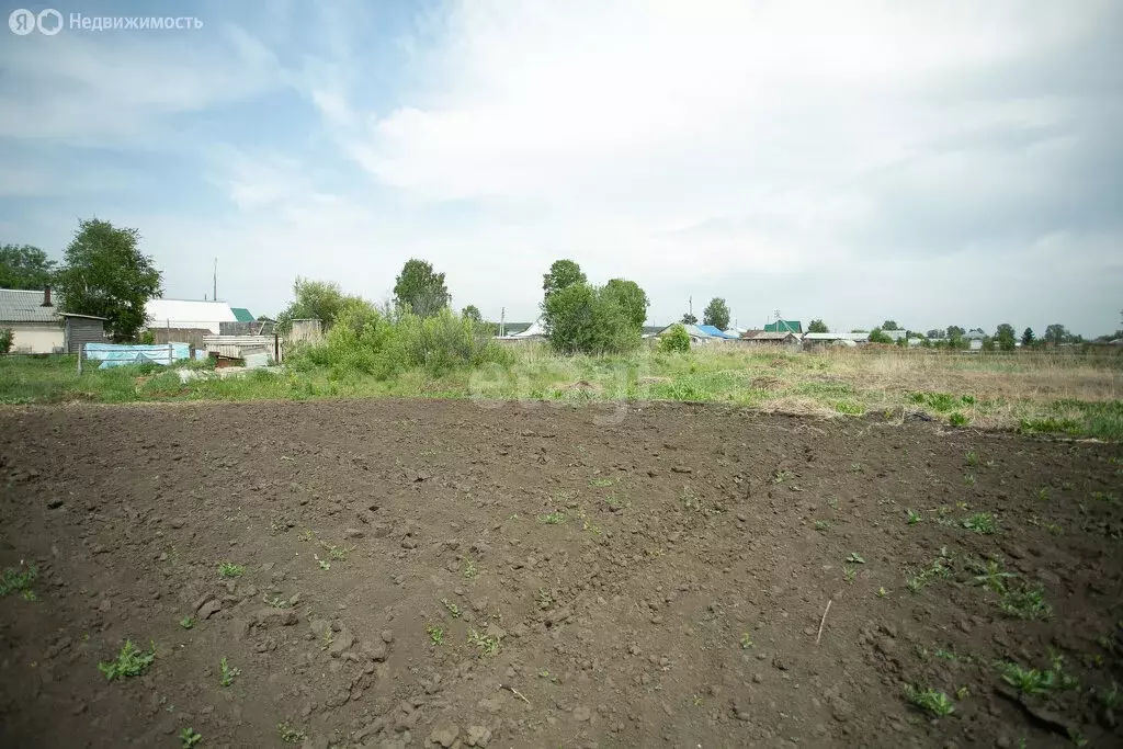 Участок в село Старый Искитим, Сибирская улица (12 м) - Фото 0