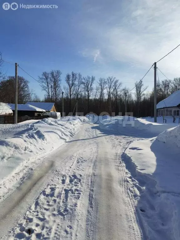 Участок в Новосибирск, улица Ивана Салащенко (8.12 м) - Фото 2