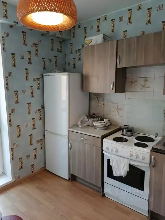 2-к кв. Московская область, Богородский городской округ, д. Щемилово ... - Фото 2