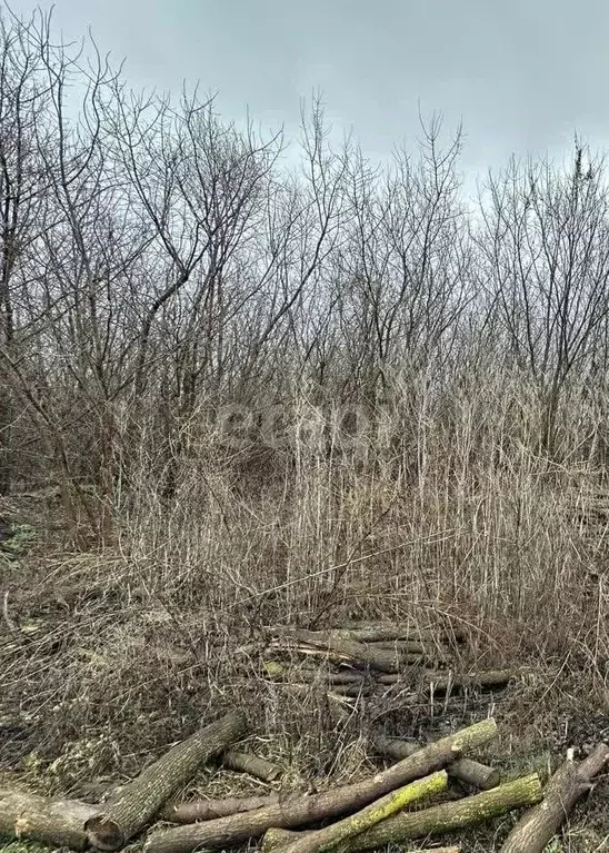 Участок в Воронежская область, с. Семилуки ул. Грушевая, 9 (9.3 сот.) - Фото 1