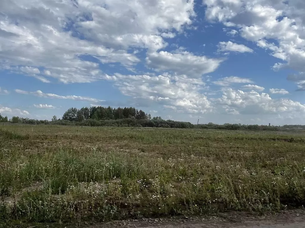 Участок в Татарстан, Лаишевский район, с. Сокуры, Новые Сокуры - 2 кп ... - Фото 1