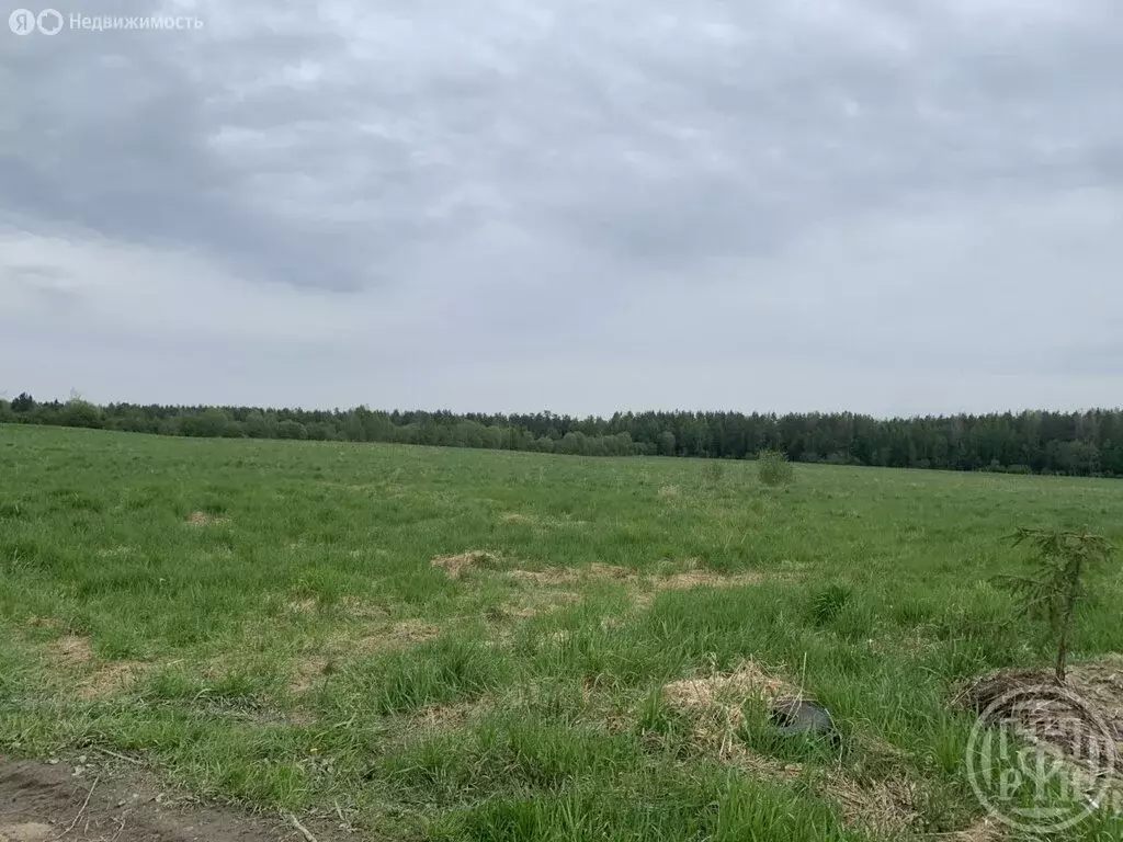 Участок в Тосненский район, Форносовское городское поселение, деревня ... - Фото 2