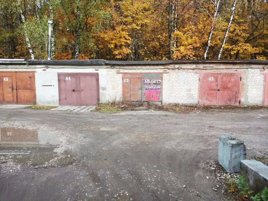 Гараж в Московская область, Балашиха ул. Мира, 11с1 (24 м) - Фото 2