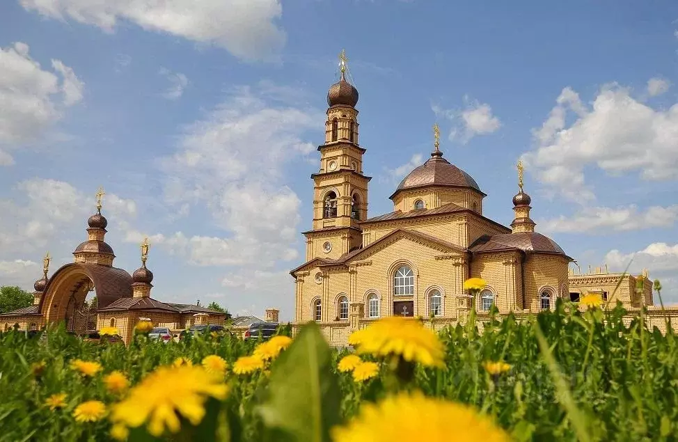 Дом в Свердловская область, Полевской муниципальный округ, с. ... - Фото 1
