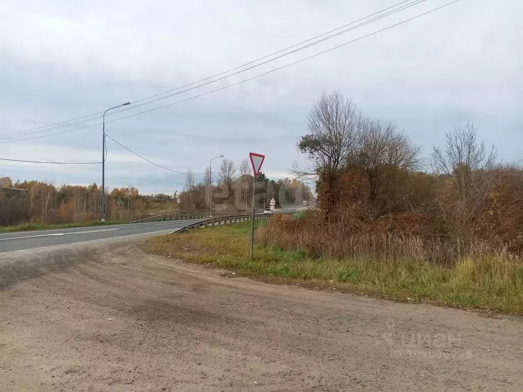 Участок в Псковская область, Островский район, Бережанская волость, д. ... - Фото 1