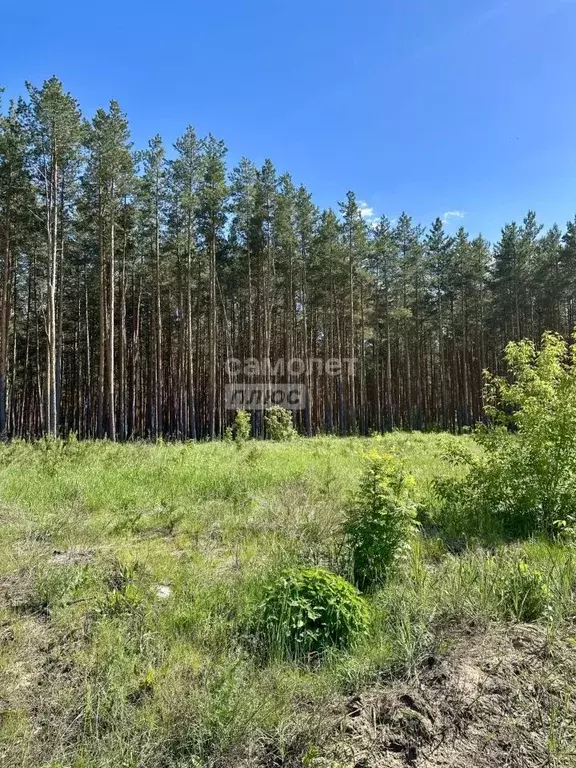 Участок в Нижегородская область, Нижний Новгород ул. Александра ... - Фото 1