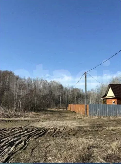 Участок в Тюменская область, Тюменский муниципальный округ, с. ... - Фото 1