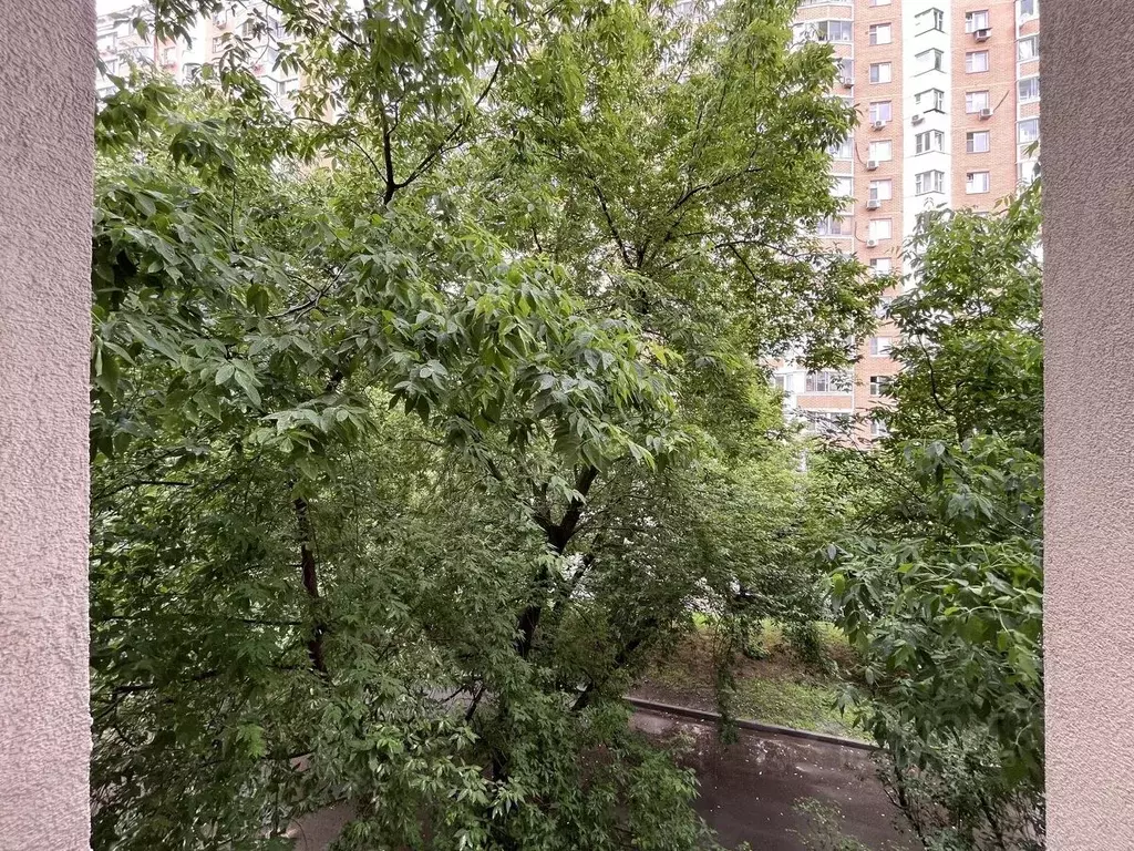 2-к кв. Москва Загородное ш., 8кБ (50.3 м) - Фото 1