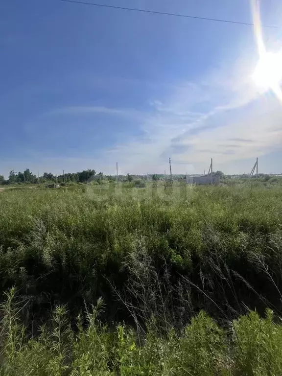 Участок в Амурская область, Благовещенский район, Станичное тер.  ... - Фото 0