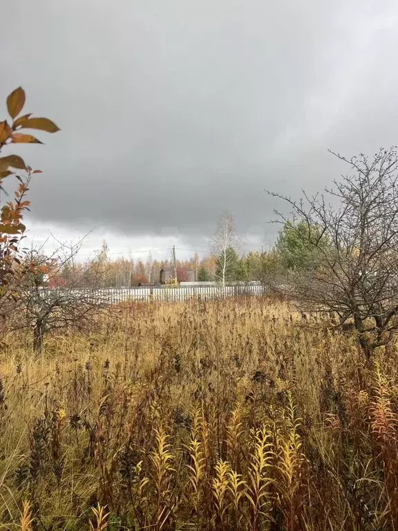 Участок 6 сот. (СНТ, ДНП) - Фото 0