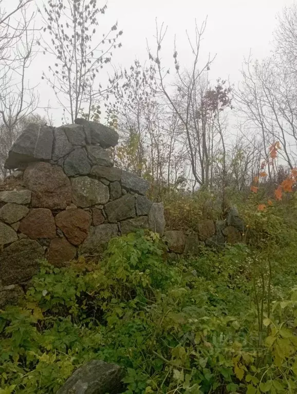 Участок в Калининградская область, Гурьевский муниципальный округ, ... - Фото 2