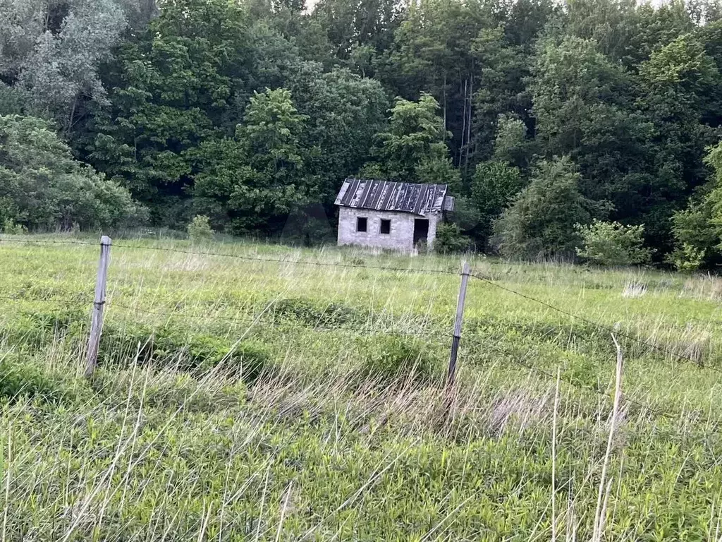 Участок 18 сот. (СНТ, ДНП) - Фото 0