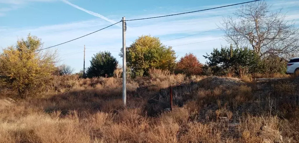 Участок в Волгоградская область, Волжский Мичуринец СНТ, ул. ... - Фото 2