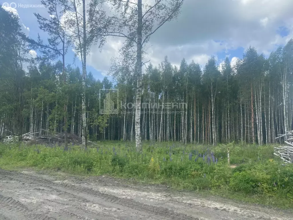 Участок в муниципальное образование Новосельское, село Любец (18.6 м) - Фото 1