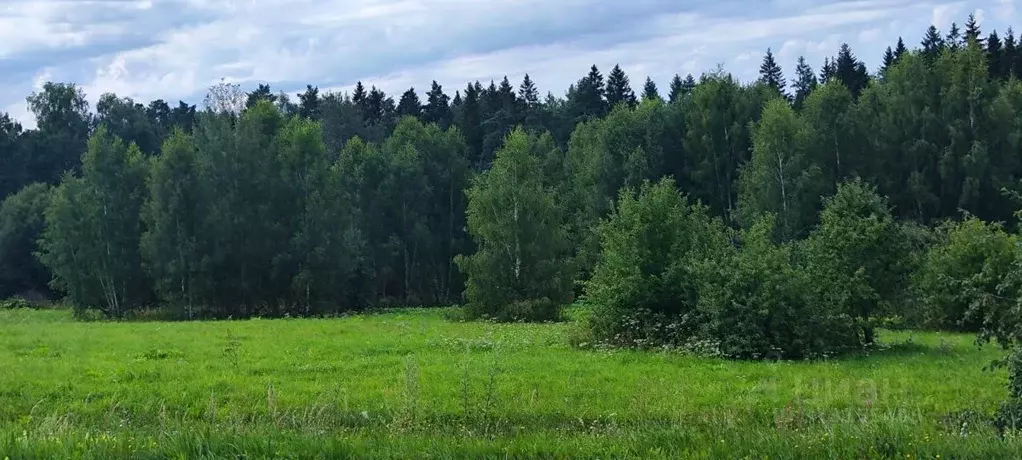 Участок в Московская область, Солнечногорск городской округ, д. Мостки ... - Фото 0