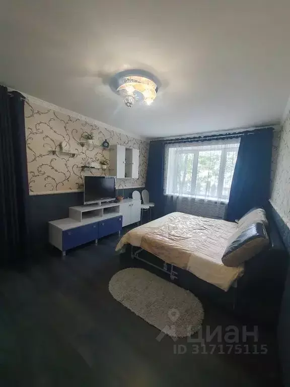 1-к кв. Ставропольский край, Кисловодск ул. Андрея Губина, 60 (29.0 м) - Фото 1