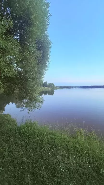 Дом в Московская область, Волоколамский муниципальный округ, Шульгино ... - Фото 2