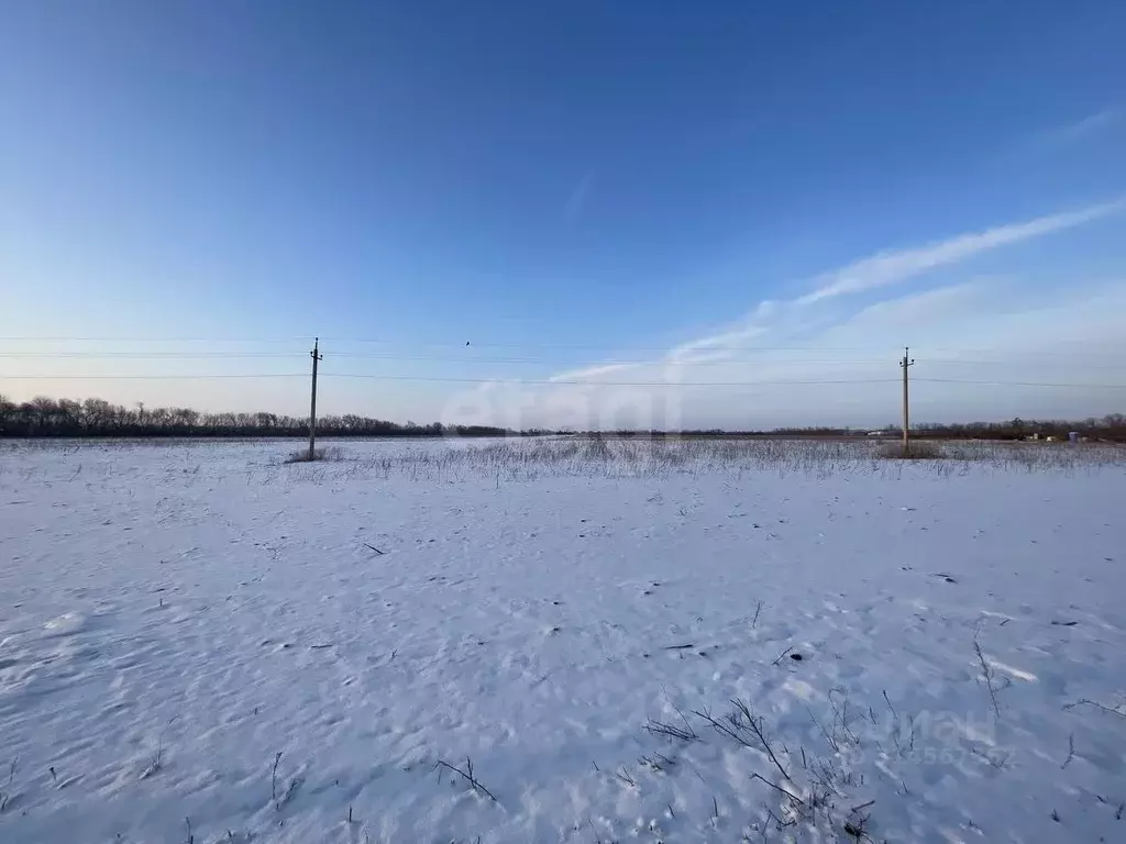 Участок в Ростовская область, Мясниковский район, Краснокрымское ... - Фото 0