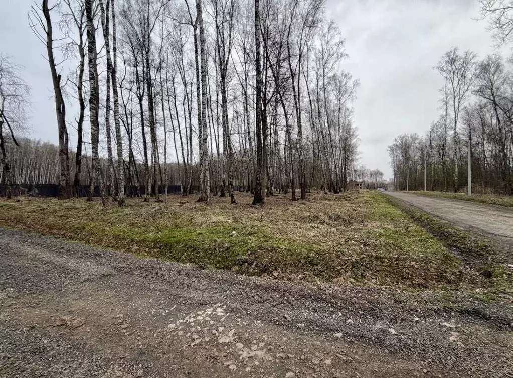 Участок, 8.9 сот., поселения (ижс) - Фото 1