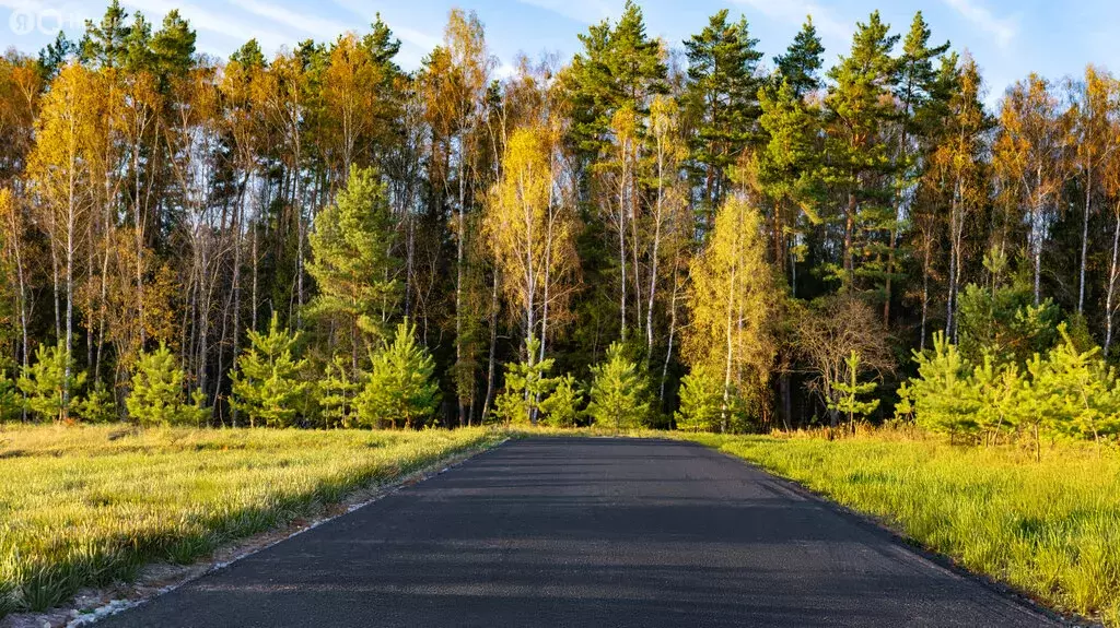 Участок в Московская область, городской округ Ступино, деревня ... - Фото 1