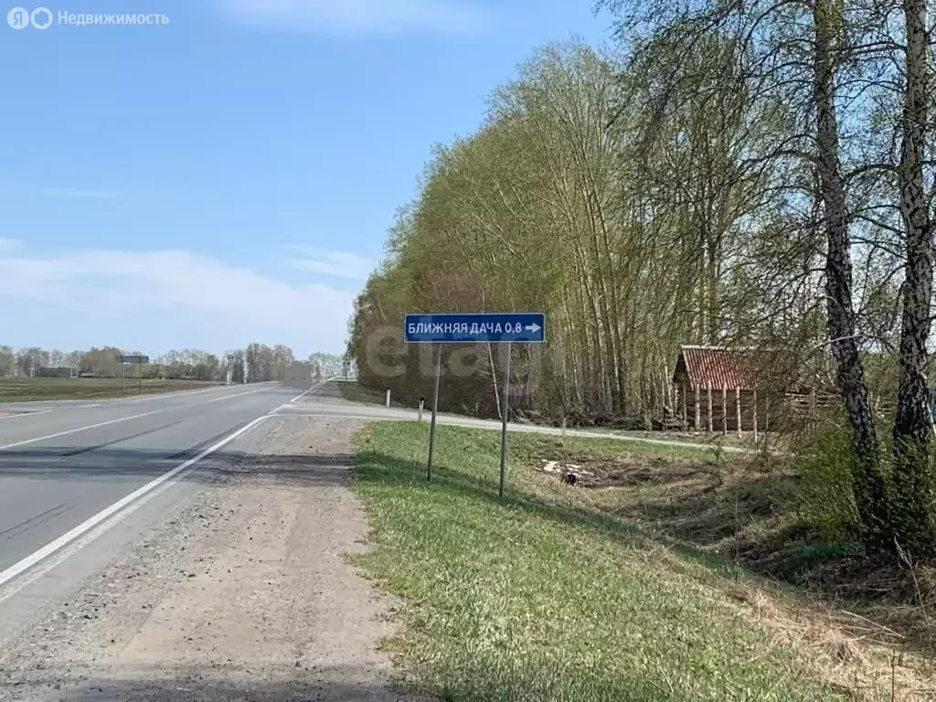Участок в Новосибирский район, Морской сельсовет, ТСН Ближняя Дача, ... - Фото 0