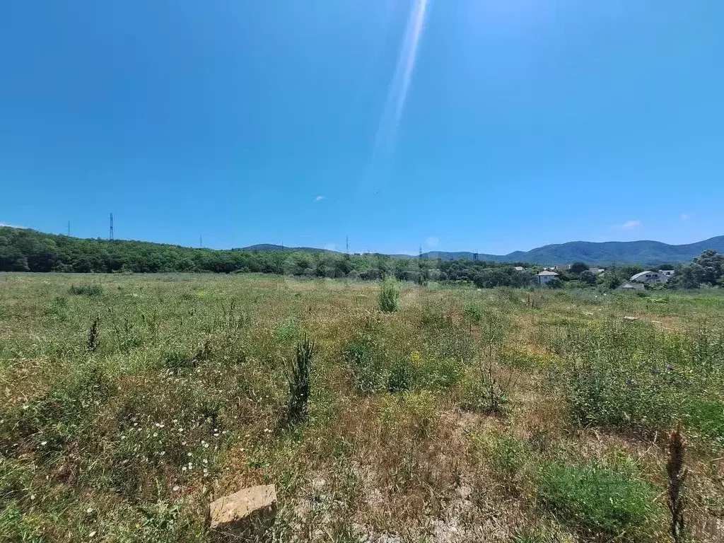 Участок в Краснодарский край, Геленджик городской округ, с. Береговое  ... - Фото 1