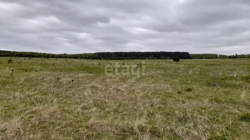 Участок в Владимирская область, Ковровский район, Новосельское с/пос, ... - Фото 2