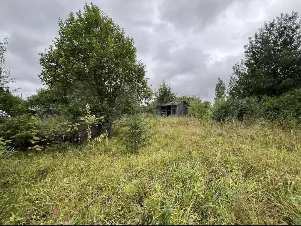 Участок в Кировская область, Киров городской округ, д. Ломовская  (3.8 ... - Фото 1