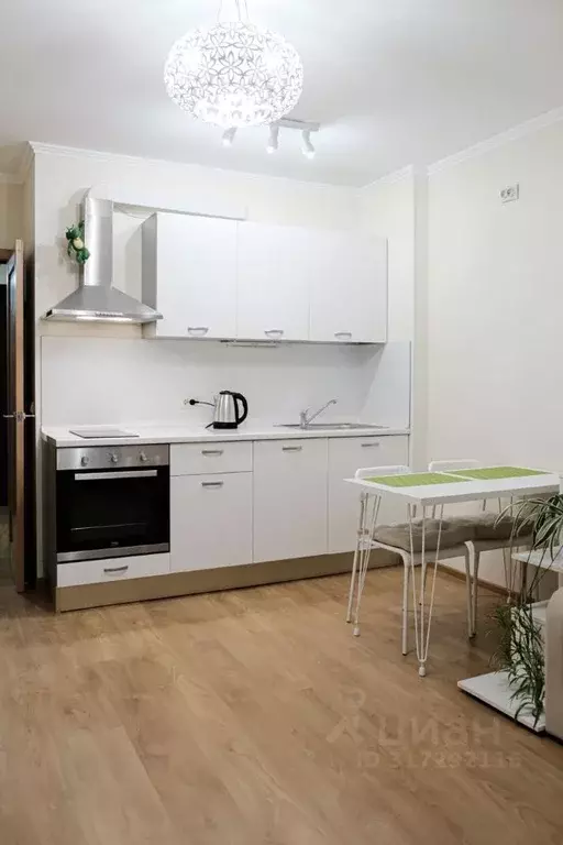 Студия Санкт-Петербург Лабораторный просп., 20к3 (25.1 м) - Фото 0