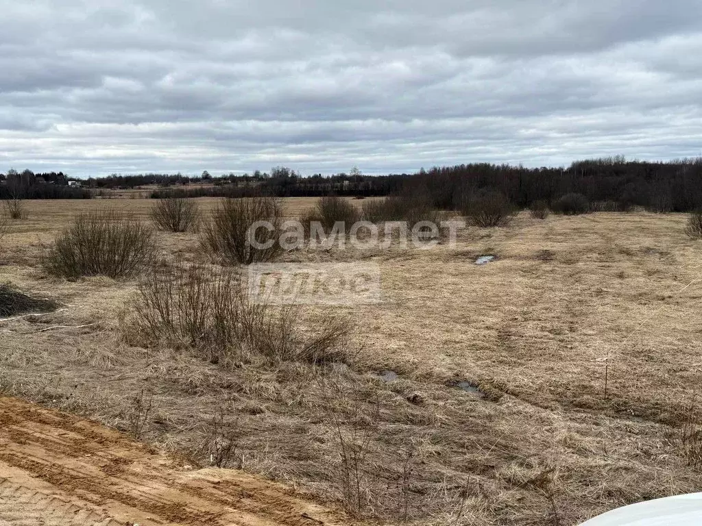 Участок в Костромская область, Красносельский район, Шолоховское ... - Фото 1