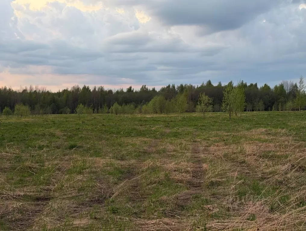 Участок в Вологодская область, Череповецкий район, Воскресенское ... - Фото 1