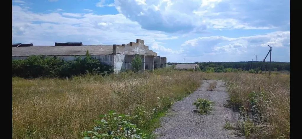 Склад в Белгородская область, Белгородский район, Майское с/пос, пос. ... - Фото 2