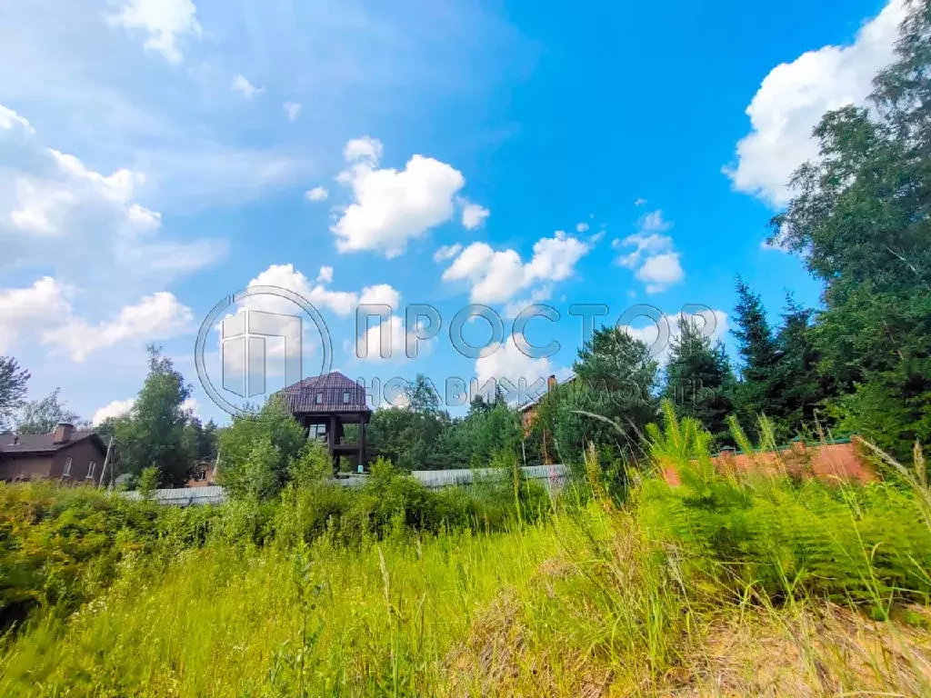 Продается участок в д. Осеченки - Фото 1