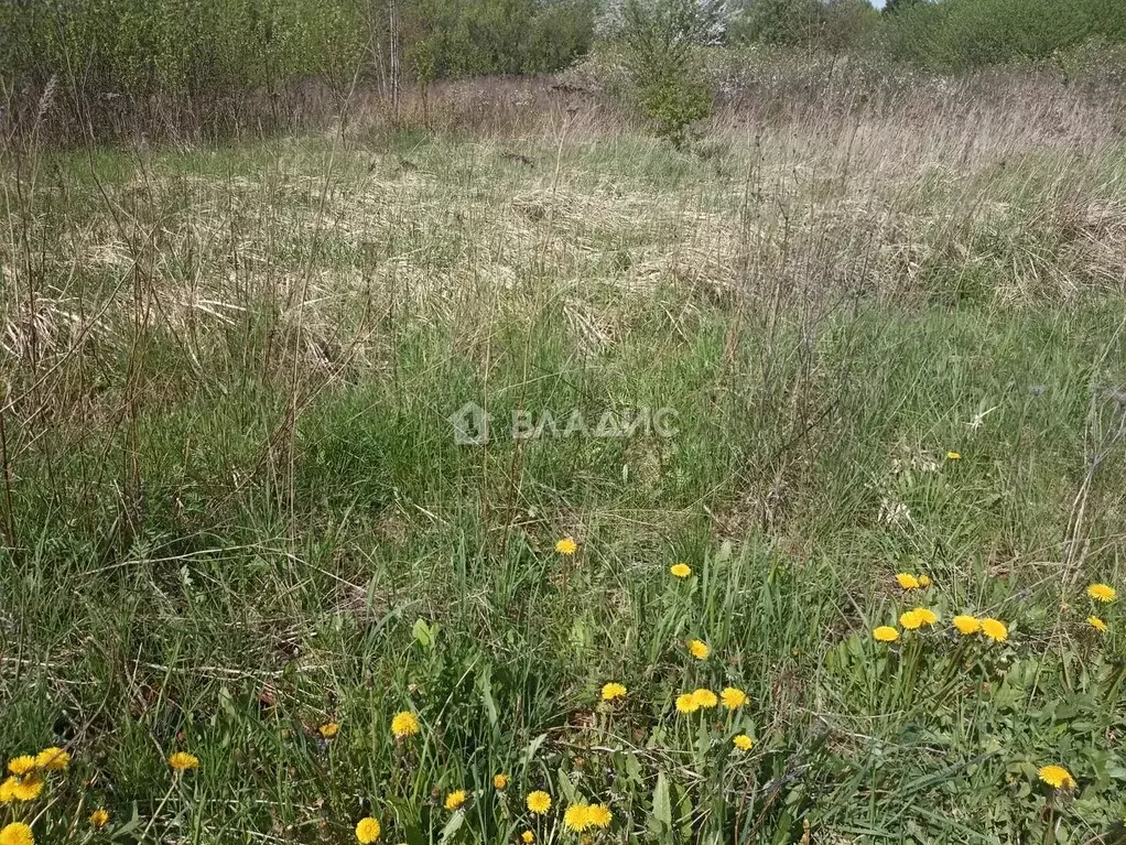 Участок в Калининградская область, Гусевский городской округ, пос. ... - Фото 1