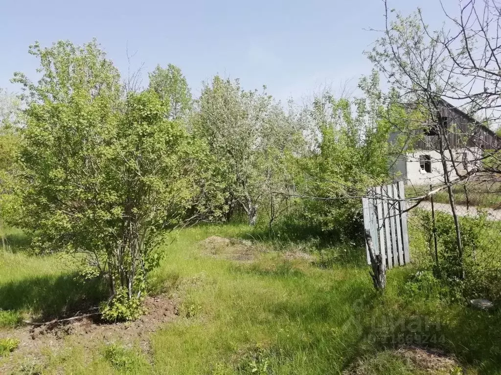 Жд славянка. Славянка Воскресенский район.