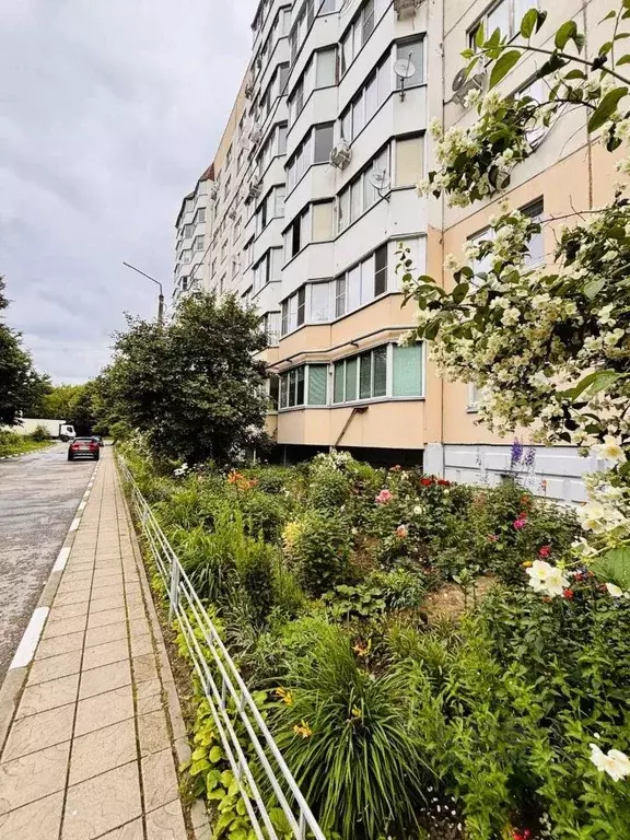 3-к кв. Московская область, Серпухов городской округ, пос. Большевик ... - Фото 1