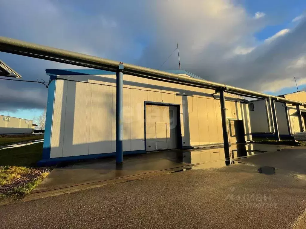 Склад в Ленинградская область, Ломоносовский район, д. Санино 42Д ... - Фото 1