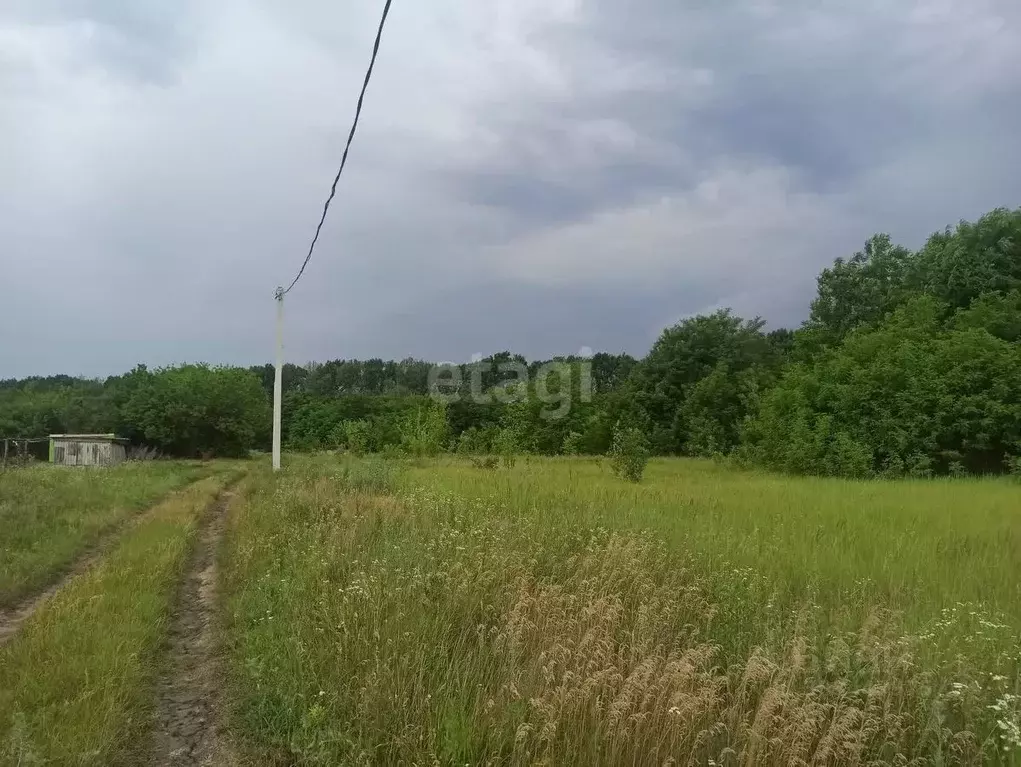 Участок в Белгородская область, Белгород Управа № 11 Ботанический сад, ... - Фото 1