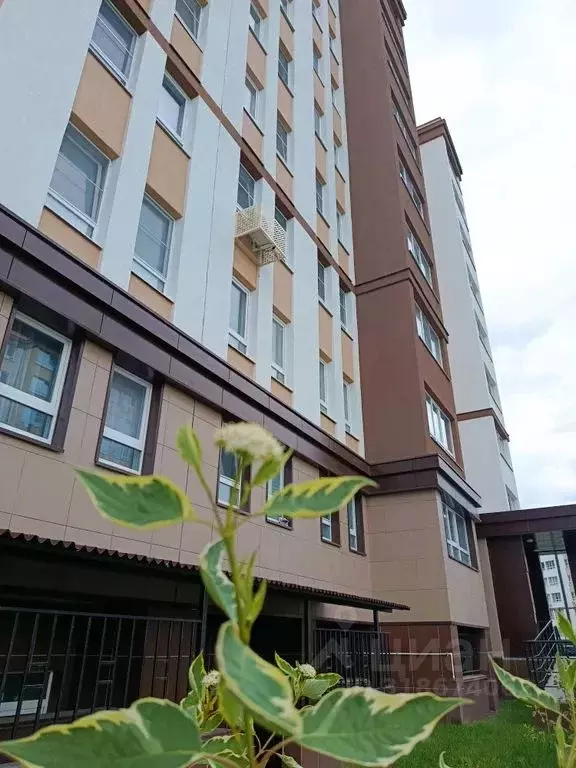 1-к кв. Пензенская область, Пензенский район, Засечный сельсовет, с. ... - Фото 1