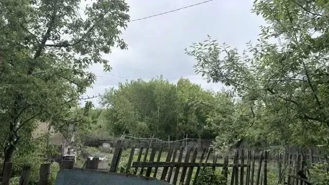Участок в Алтайский край, Барнаул ВРЗ мкр, пер. Нефтяной (699.0 сот.) - Фото 2