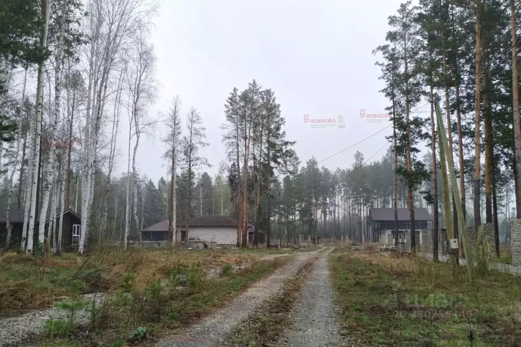 Участок в Свердловская область, Белоярский муниципальный округ, пос. ... - Фото 2