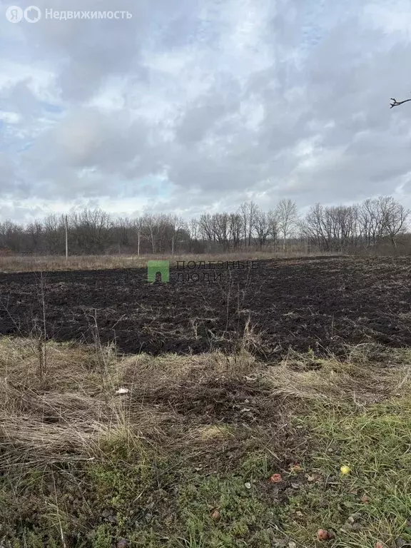 Участок в Рождественка, Лесная улица (15 м) - Фото 1