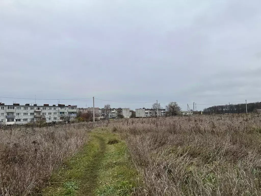 Участок в Московская область, Серебряные Пруды муниципальный округ, ... - Фото 1