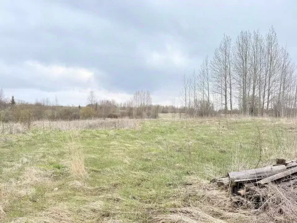 Участок в Вологодская область, Кирилловский муниципальный округ, д. ... - Фото 1